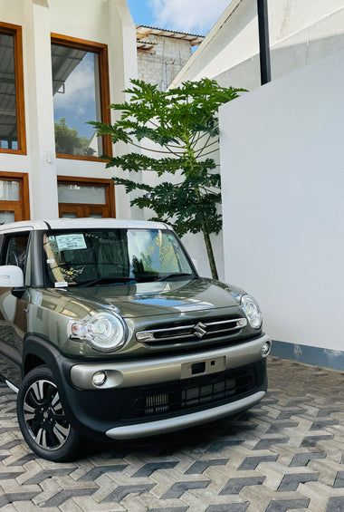 Suzuki X-Bee MZ Turbo Brown Accent Package.